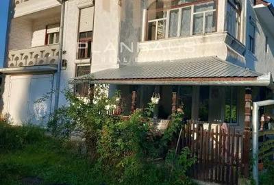 Casa Rohia ,ideala locuit sau pensiune ,zona turistica,45 ari - 10