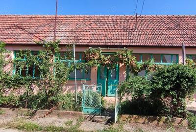 Casă cu 4 camere cu Teren 3000 Mp în Alioș - 10