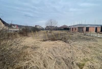 Spațiu comercial, în Central