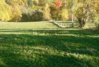 Teren intravilan de vanzare – Bran, Sohodol - 4