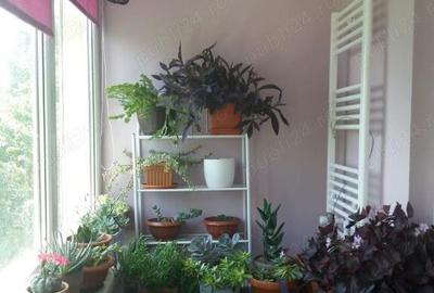 Apartament 4 camere zona Rahova - 7