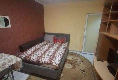 Garsonieră în Alexandru cel Bun - 1