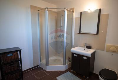 Casa / Vila de Vanzare - 5