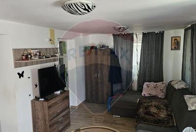 Casa 100 mp utili Adunatii Copaceni - 2