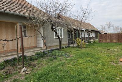 Casă cu 3 camere în Cheșereu - 8