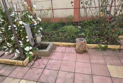 UNIVERSITATE CASA DE CARAMIDA CU 2 CAMERE 176 MP PRET 235000 EURO - 2