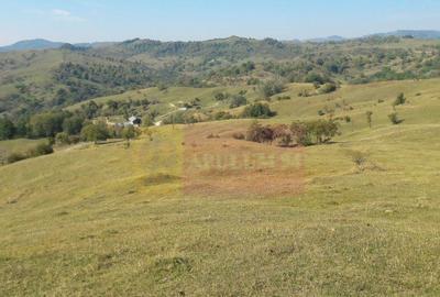 Teren intravilan de vanzare in Breaza (dezvoltare imobili... - 3