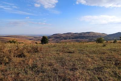 Teren de 21000 mp, în Jugureni - 6