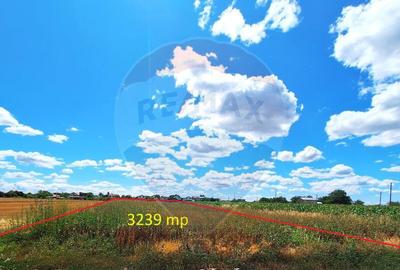 Teren Focsanei / DN sat Focsanei Vadu Pasii - 8