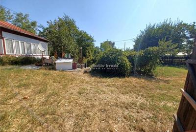 Casa Bila Ghimpati- Giurgiu - 5