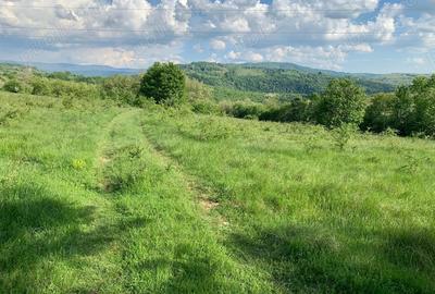 Vand teren zona Carasova! Vand teren zona Carasova! - 3