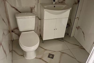 Spațiu comercial, 300 mp în Lungulețu - 4