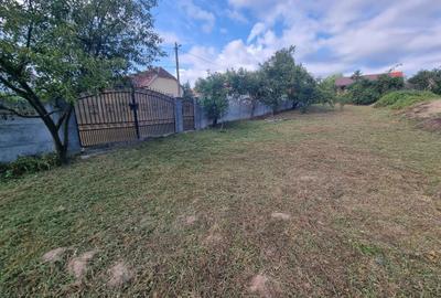 Spațiu comercial, în Viile Satu Mare - 1