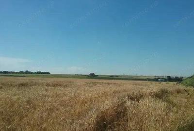Teren extravilan 2.000 mp Techirghiol, jud. Constanta