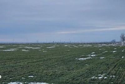 Teren de 20000 mp, în Dragalina - 6