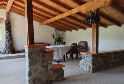Proprietate de vânzare/schimb la Fântânele – Sibiu - 8