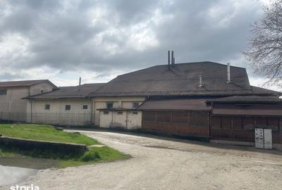 Spațiu comercial, de 4,000 mp, în Motru - 3
