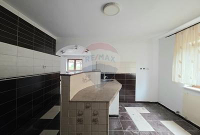De vanzare proprietate unicat in Sascut - Bacau - 15