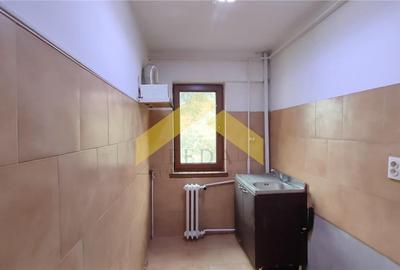 Apartament 2 camere de vanzare zona Boul Rosu - 2
