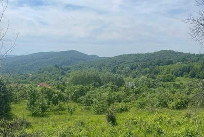 Teren de 6000 mp, în Urluiești - 6