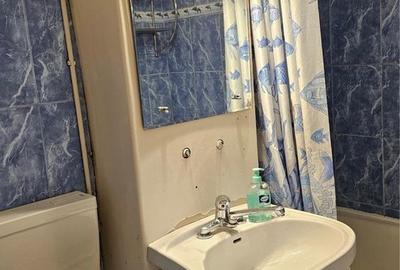 Garsonieră în Tudor - 2