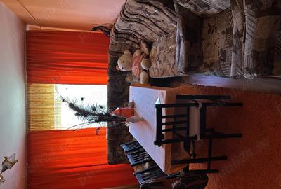 Apartament 3 camere de vanzare - 3
