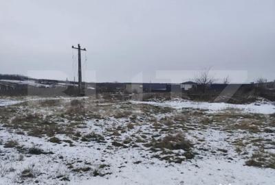 Teren de 2570 mp, în Dumbrava (Ciurea) - 1