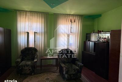 Casă cu 4 camere cu Teren 1522 Mp în Traian Vuia - 2