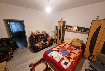 Delfinariu -casa de caramida - 4