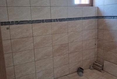 Casă cu 3 camere în Bâcu - 12