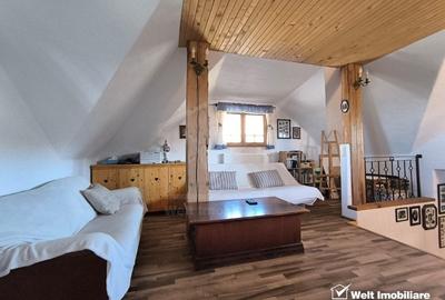 Casa rustica, exclusivista, 5 camere, 170 mp utili, 550 mp teren, Salicea - 14