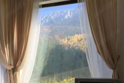 Vila de lux la munte Brasov Zarnesti Plaiul Foii, 2 hectare de teren, jacuzzi, semineu, sauna, Gym - 3