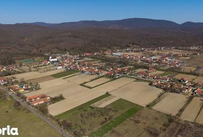 Teren de 2970 mp, în Mașloc - 10