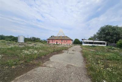 Teren de 10000 mp, în Periferie - 3