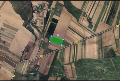 Teren de 25000 mp, în Bălușeni - 1