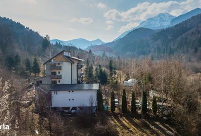 Spațiu comercial, de 750 mp, în Sohodol - 8