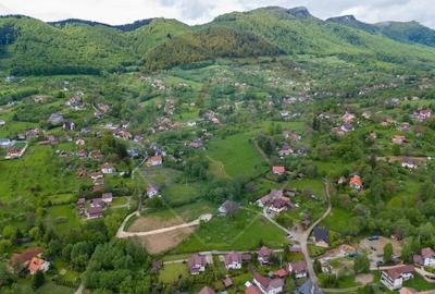 Teren de inchiriat sau parteneriat - Predelut, com. Bran, jud. Brasov - 2