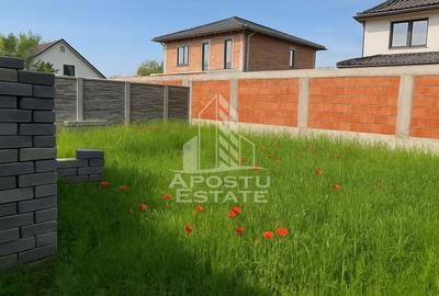 Casa individuala la rosu P+M, In Giarmata - 3