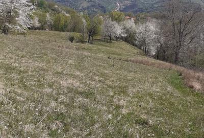 Teren în Cornereva - 8
