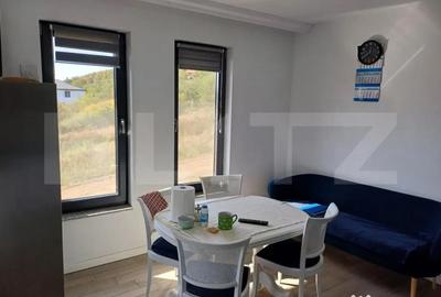 Casă cu 4 camere cu Teren 940 Mp în Unirea - 15