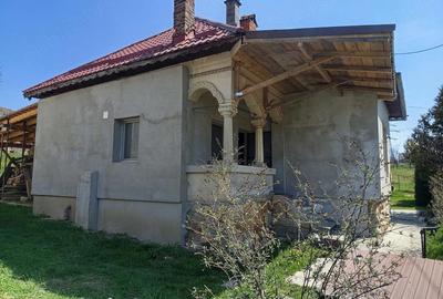 Casă cu Teren 3103 Mp în Central - 2