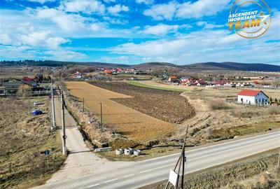 Teren Construcții intravilan de 31605 mp, în Exterior Est - 7