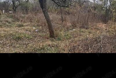 Casă cu 4 camere cu Teren 4000 Mp în Mătăsaru - 5