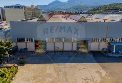 Spațiu industrial, de 3,739 mp, în Astra - 8