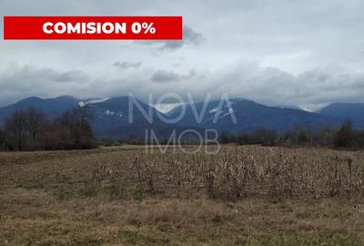 Teren agricol extravilan de 2100 mp, în Arpașu de Sus - 1