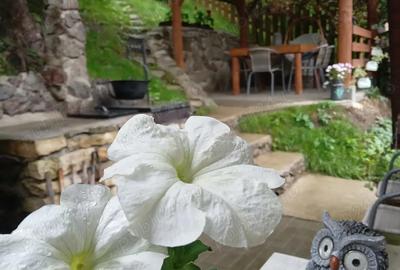 Vand casa de vacan?a la Tarni?a( Coada Lacului ) - 10