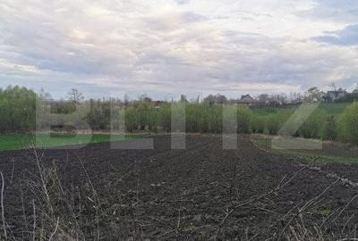 Casă cu 2 camere cu Teren 6500 Mp în Central