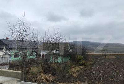 Casă cu 3 camere cu Teren 3400 Mp în Central - 3