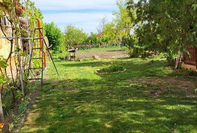 Casă cu 6 camere cu Teren 2500 Mp în Fulga - 1