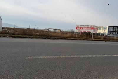 Teren de 10000 mp, în Nicolae Bălcescu - 10